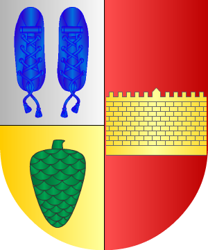 ESCUDO SIGUIENTE