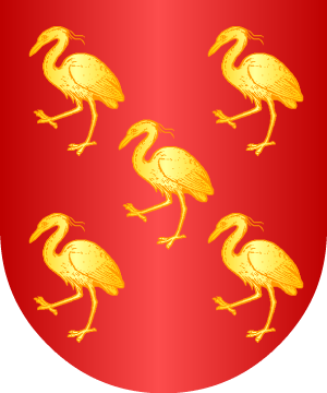 ESCUDO SIGUIENTE