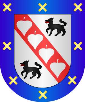 ESCUDO PRECEDENTE