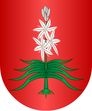 ESCUDO SIGUIENTE