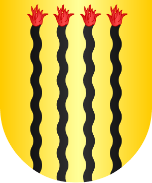 ESCUDO ALEATORIO