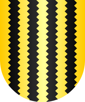 ESCUDO ALEATORIO