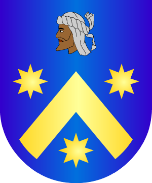 ESCUDO PRECEDENTE