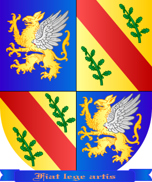 ESCUDO ALEATORIO