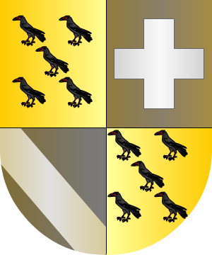 ESCUDO SIGUIENTE