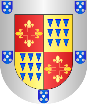 ESCUDO SIGUIENTE