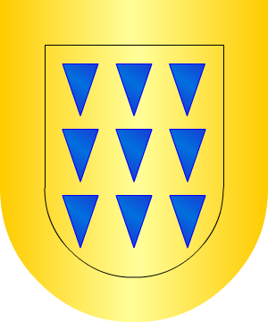 ESCUDO ALEATORIO