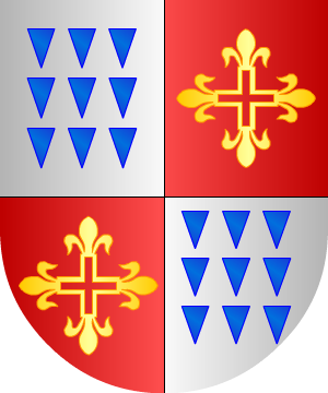ESCUDO ALEATORIO