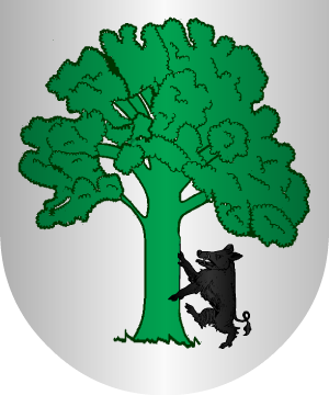 ESCUDO SIGUIENTE