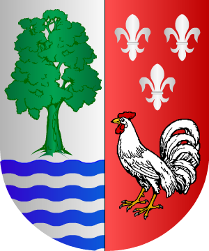 ESCUDO ALEATORIO