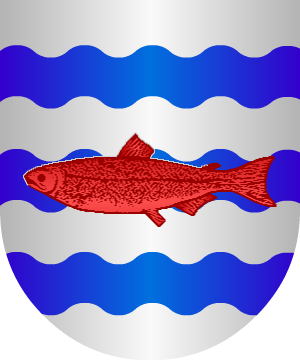 ESCUDO SIGUIENTE