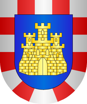 ESCUDO SIGUIENTE
