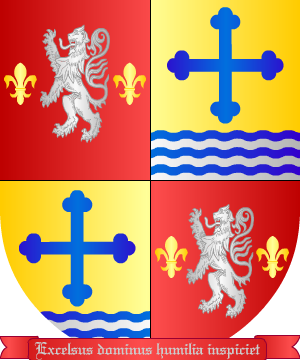ESCUDO ALEATORIO