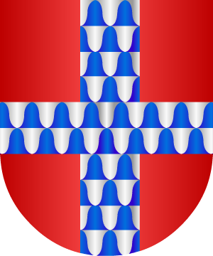 ESCUDO SIGUIENTE