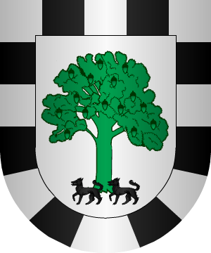 ESCUDO ALEATORIO