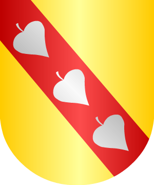 ESCUDO SIGUIENTE