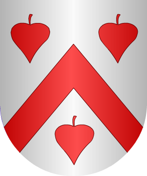 ESCUDO SIGUIENTE