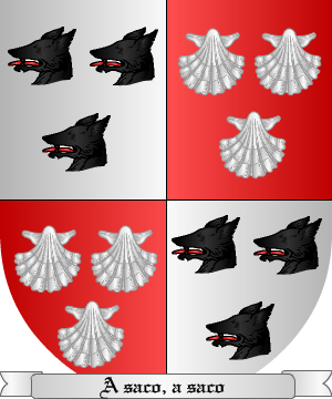 ESCUDO ALEATORIO