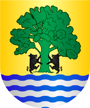 ESCUDO ALEATORIO