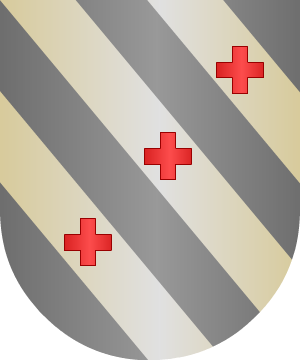 ESCUDO ALEATORIO