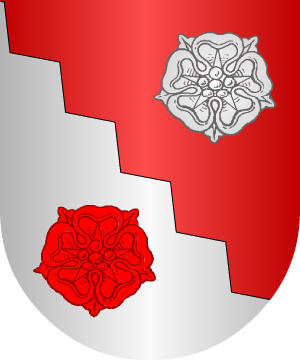 ESCUDO ALEATORIO