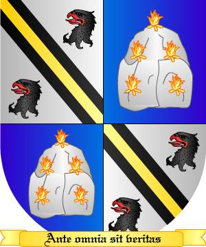 ESCUDO SIGUIENTE