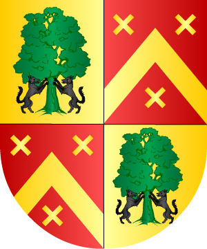 ESCUDO ALEATORIO