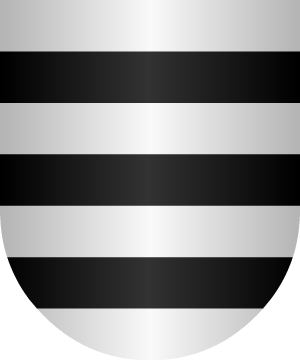 ESCUDO SIGUIENTE