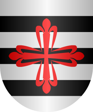 ESCUDO SIGUIENTE