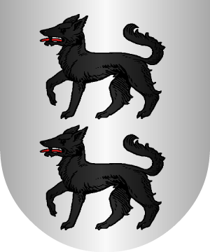 ESCUDO ALEATORIO