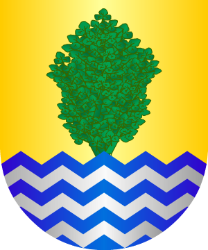 ESCUDO PRECEDENTE