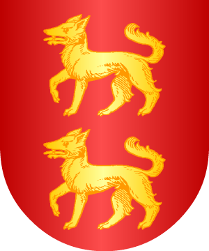 ESCUDO ALEATORIO