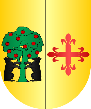 ESCUDO SIGUIENTE