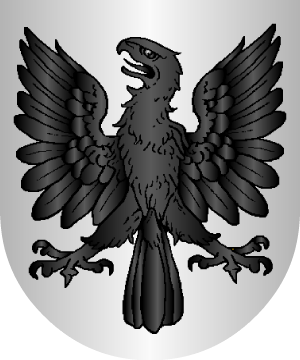 ESCUDO SIGUIENTE