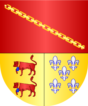 ESCUDO SIGUIENTE