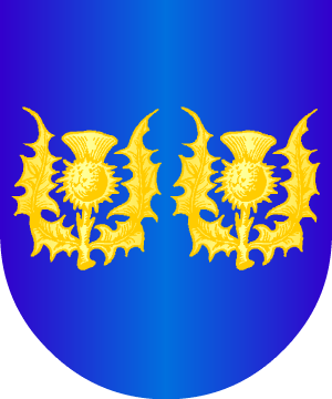 ESCUDO ALEATORIO