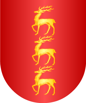 ESCUDO ALEATORIO