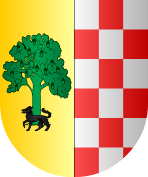 ESCUDO SIGUIENTE