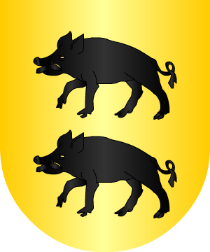 ESCUDO ALEATORIO