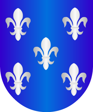 ESCUDO ALEATORIO
