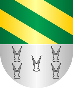 ESCUDO SIGUIENTE
