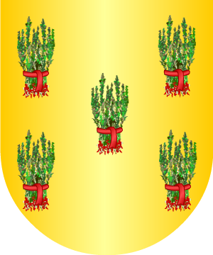 ESCUDO SIGUIENTE