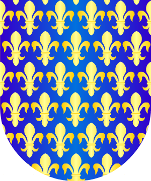 ESCUDO ALEATORIO