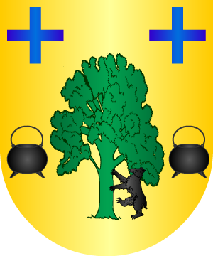 ESCUDO ALEATORIO