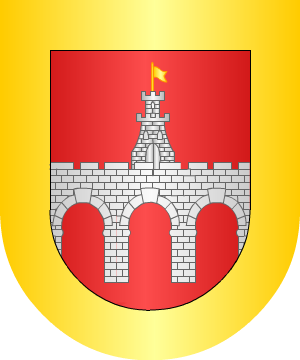 ESCUDO ALEATORIO