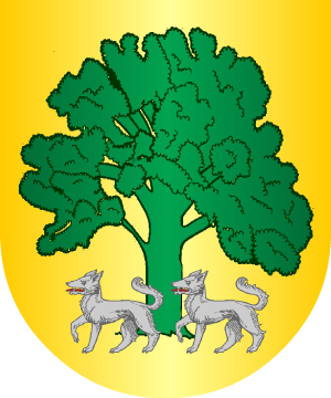 ESCUDO SIGUIENTE