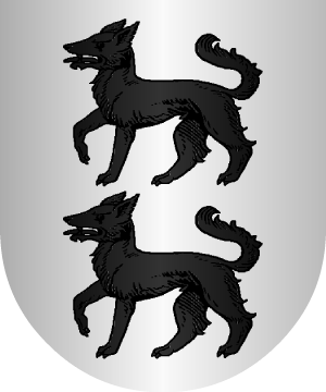 ESCUDO PRECEDENTE