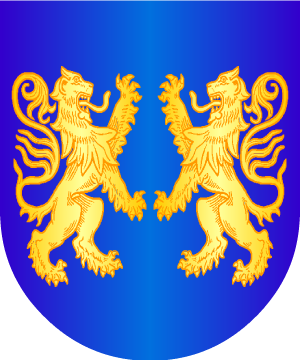 ESCUDO ALEATORIO