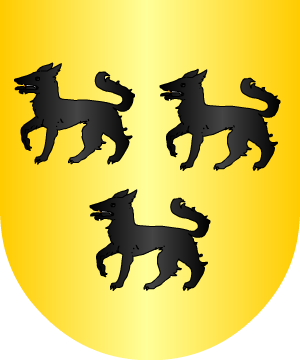 ESCUDO ALEATORIO