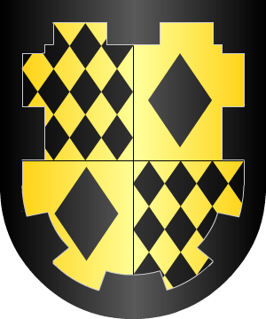 ESCUDO SIGUIENTE